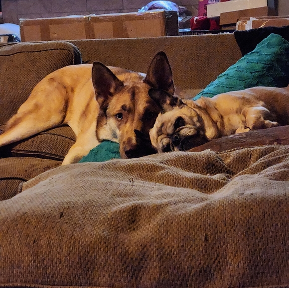 READ THIS FIRST - Picture 4 of 4